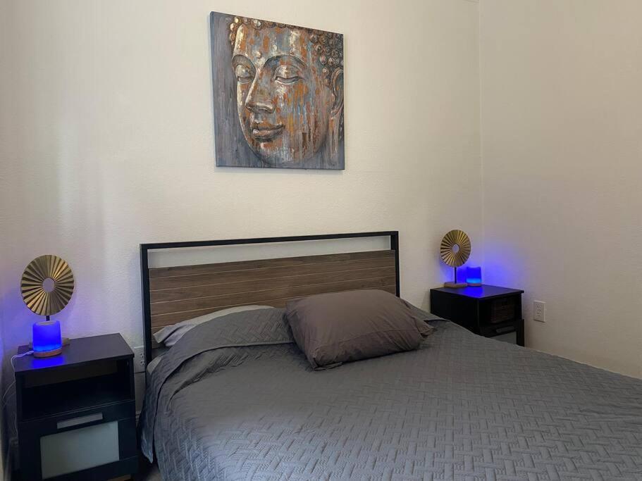 Contemporary 1-Bedroom Private Bungalow Walk To Armature & Riverwalk Tampa Eksteriør billede