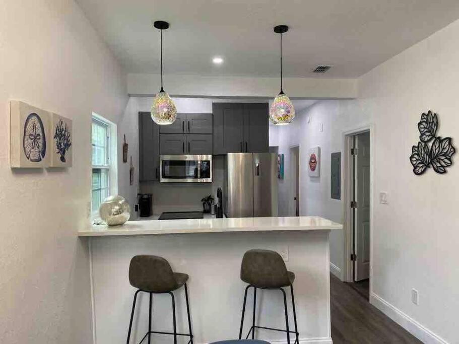 Contemporary 1-Bedroom Private Bungalow Walk To Armature & Riverwalk Tampa Eksteriør billede