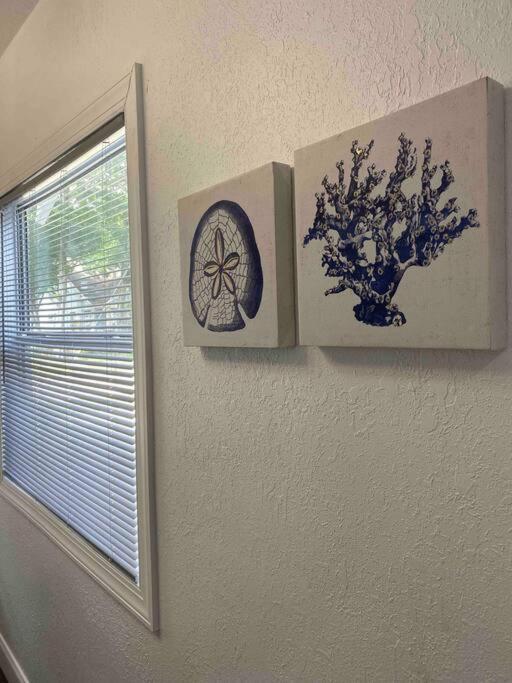 Contemporary 1-Bedroom Private Bungalow Walk To Armature & Riverwalk Tampa Eksteriør billede